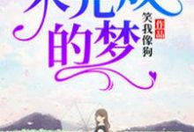 完结版《未完成的梦》在线免费阅读-艾米文学