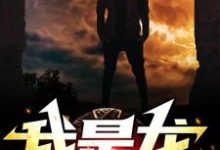 全民兽化:末世生存我是龙！最新章节，全民兽化:末世生存我是龙！免费阅读-艾米文学