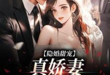 完结版《隐婚甜宠:真娇妻是个撩人精》章节阅读-艾米文学