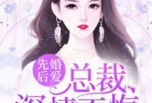 《先婚后爱:总裁,深情不悔》小说章节在线试读,《先婚后爱:总裁,深情不悔》最新章节目录-艾米文学