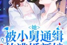 完结版《她!被小舅通缉的逃婚新娘》免费阅读-艾米文学