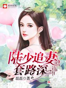 陆少追妻套路深小说有没有完结版在线？