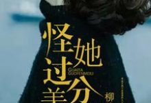 怪她过分美丽小说最新更新在哪里？免费在线看-艾米文学