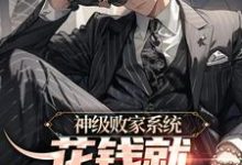 神级败家系统:花钱就无限返还小说的最新章节在哪里更新?免费追踪阅读-艾米文学