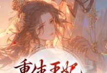 免费在线阅读重生王妃路子野,得宠!小说的正规网站有哪些?-艾米文学