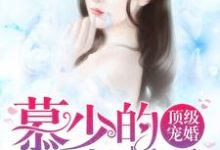顶级宠婚：慕少的小妻子最新章节，顶级宠婚：慕少的小妻子章节在线阅读-艾米文学