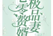 七零赘婿极品妻白萌萌慕正东，七零赘婿极品妻在线无弹窗阅读-艾米文学
