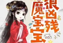 凌雪琪无夜是哪本书的主角？寻找半魔宝宝很凶残免费阅读-艾米文学