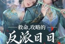 主人公叫叶沫的小说救命，攻略的反派日日想取我狗命在线阅读章节-艾米文学