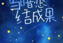 当暗恋结成果小说完结版章节免费阅读-艾米文学
