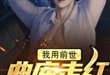 慕寒小说叫什么（我用前世曲库走红歌坛后免费阅读）-艾米文学