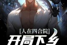 已完结小说《人在四合院,开局下乡插队北大荒》在线章节阅读-艾米文学