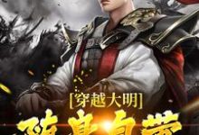 《穿越大明，随身自带百度搜索》全集免费在线阅读（齐兴宇）-艾米文学