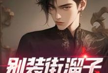 完结版《别装街溜子，你就是神探》章节目录在线阅读-艾米文学