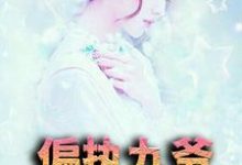 偏执九爷放肆宠这本小说在哪里可以看?哪里有免费试读章节?-艾米文学