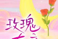 求玫瑰有瘾小说的全文免费阅读链接-艾米文学