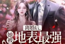 离婚后，她被地表最强首富表白了小说最新章节在哪里可以读到？-艾米文学