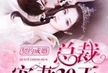 免费阅读言晚霍黎辰言默林为主角的小说，契约成婚，总裁宠妻30天在线看-艾米文学