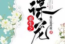 秦氿赢允是哪本书的主角？寻找重生之谋宠免费阅读-艾米文学