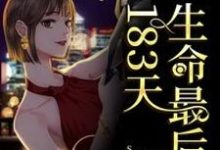 生命最后的183天肖亚平贺童在线章节免费阅读-艾米文学