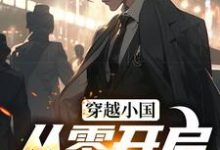 穿越小国，从零开启S3赛季小说的无弹窗阅读体验，寻找免费阅读网站-艾米文学