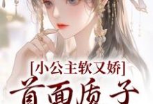 小公主软又娇，首面质子把持不住小说有没有完整的免费版本在线阅读？-艾米文学