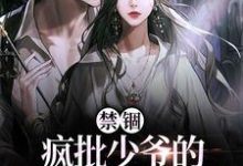 禁锢：疯批少爷的笼中雀又矫又魅小说全文哪里可以免费看？-艾米文学