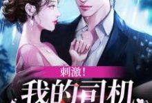已完结小说《刺激!我的司机是霸总本霸》章节免费阅读-艾米文学