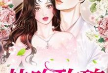 《热吻玫瑰》全集免费在线阅读（南栀商辰禹）-艾米文学