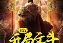 免费在线阅读大汉:开局文斗魏国使臣小说的正规网站有哪些?-艾米文学