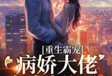 陆南婴纪承舟是哪本书的主角？重生霸宠：病娇大佬宠妻超级甜免费读-艾米文学