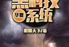 华夏黑科技系统林炎林小蝶凌芸霜林逸,华夏黑科技系统在线无弹窗阅读-艾米文学