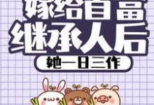 在线寻找 穆乐乐晏习帛的小说，嫁给首富继承人后，她一日三作免费阅读-艾米文学