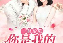 一眼沦陷：你是我的命中注定小说有没有完整的免费版本在线阅读？-艾米文学