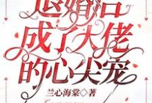 小说《退婚后成了大佬的心尖宠》章节免费阅读-艾米文学