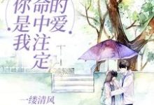 求你是我命中注定的爱小说的全文免费阅读链接-艾米文学