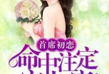 首席初恋:命中注定宠上瘾小说全文哪里可以免费看?-艾米文学