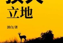 顶天立地小说完结版章节免费阅读-艾米文学