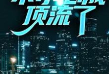 主角陆青雨小说完结版在线阅读，兼职明星：不小心成顶流了免费看-艾米文学