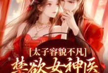 雁未迟上官曦小说《太子容貌不凡，禁欲女神医爱疯了》在线阅读-艾米文学