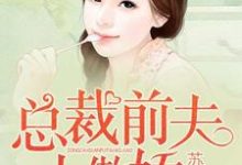 总裁前夫太傲娇陆之诺程景深顾承越宋小茜在线章节免费阅读-艾米文学