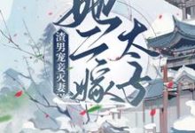 渣男宠妾灭妻?她二嫁太子小说完结了吗?在哪里可以免费读到?-艾米文学
