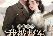 小说《强取豪夺：我被督军强娶为妻》在线章节阅读-艾米文学