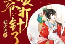 王爷，该打针了小说全文哪里可以免费看？-艾米文学