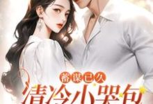 主角宋稚慕南祁小说蓄谋已久:清冷小哭包被总裁娇宠了免费阅读-艾米文学