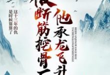 易阡陌周澜婷是哪本书的主角?被断筋挖骨后,他承龙飞升了免费读-艾米文学