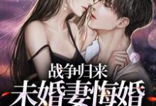已完结小说《战争归来，未婚妻悔婚另嫁他人》在线章节阅读-艾米文学
