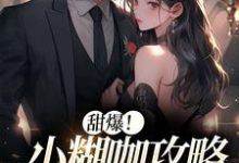 江敛傅寒声的完整故事在哪里?读甜爆!小糊咖攻略京城大佬小说-艾米文学