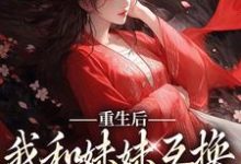 重生后,我和妹妹互换了人生系统顾玲珑小说在线章节目录阅读最新章节-艾米文学