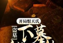 苏晨小说《盗墓:开局恨天氏,下墓就无敌》在线阅读-艾米文学